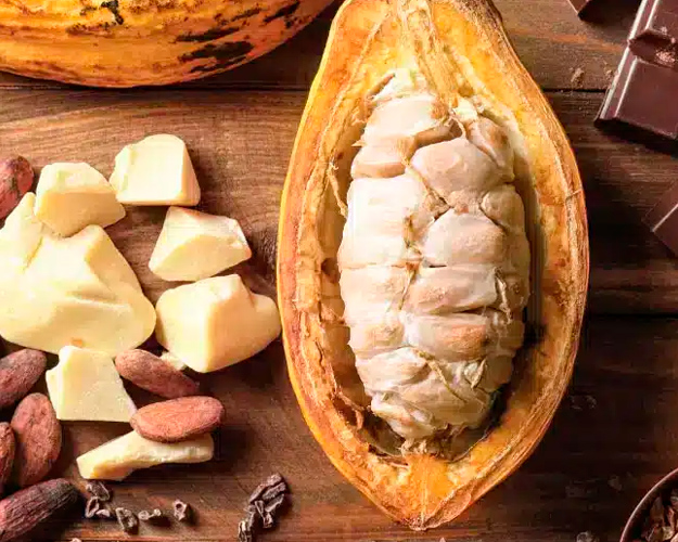 Foto: Encuentran metales pesados en alimentos derivados del cacao/Cortesía