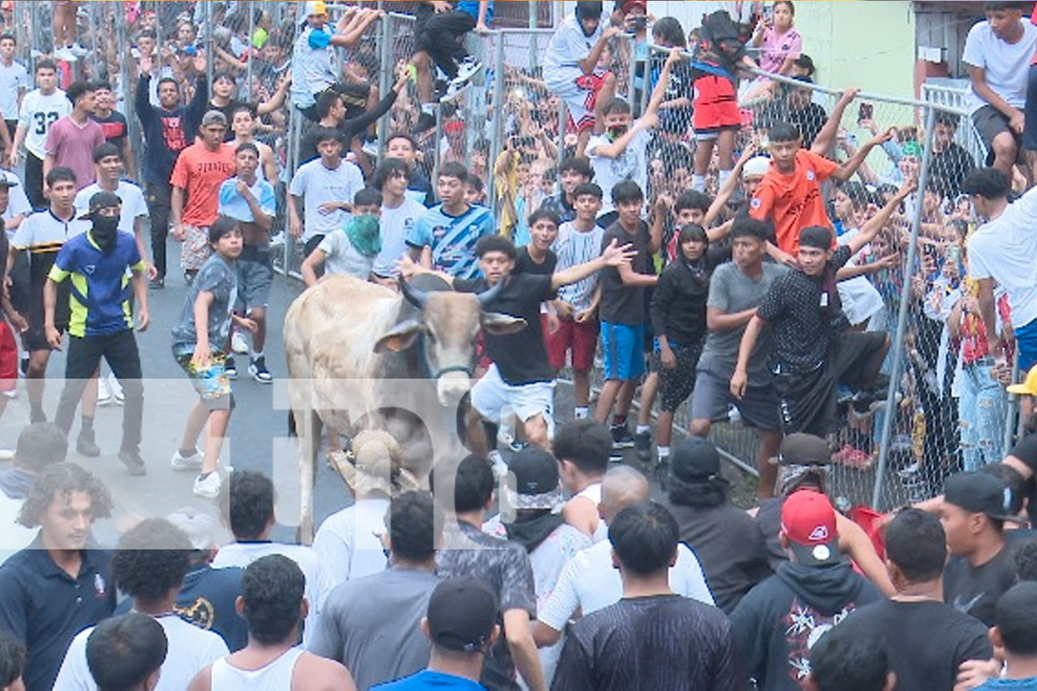 Foto: Managua Celebró a lo Grande: Fiestas de Víspera a Santo Domingo en San José Oriental/ TN8