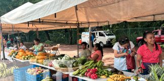 Foto: MEFCCA brindando acompañamiento a los diferentes emprendedores y productores/TN8