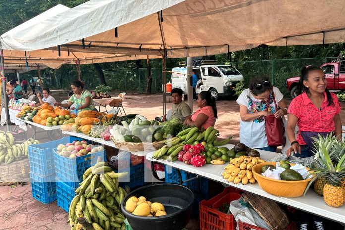 Foto: MEFCCA brindando acompañamiento a los diferentes emprendedores y productores/TN8