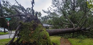 Foto: Beryl impacta en Texas /cortesía