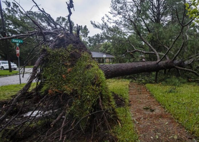 Foto: Beryl impacta en Texas /cortesía