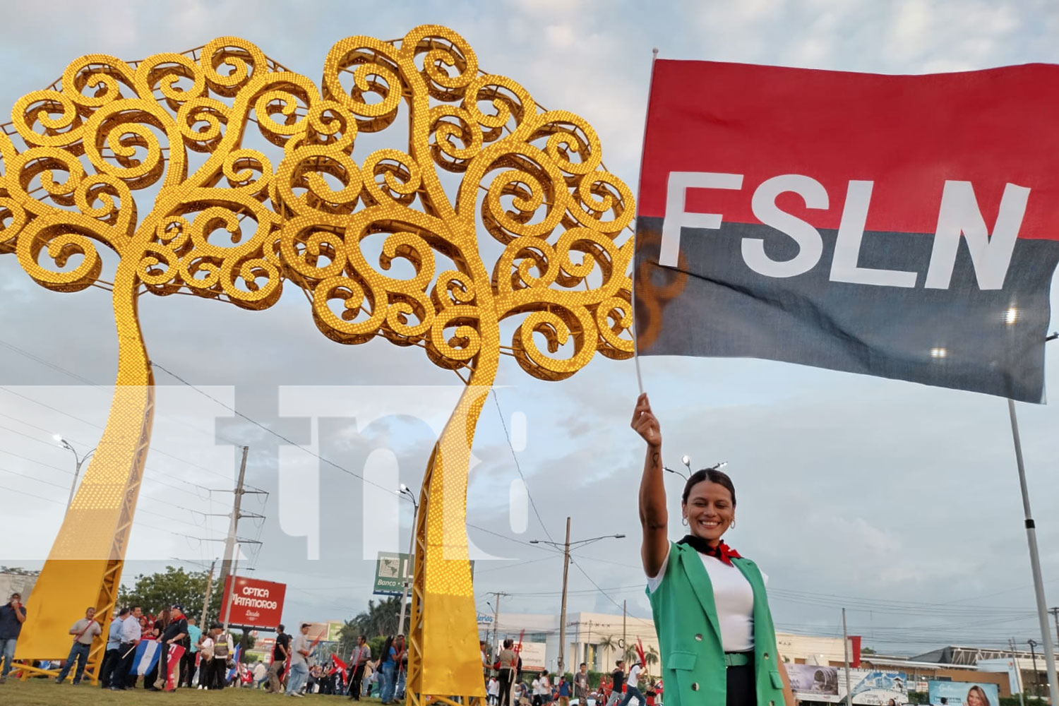 Foto: Encendido simultáneo de 50 "Árboles de la Vida" en Managua/ TN8