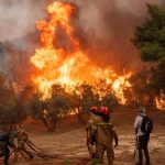 Foto: Tres bomberos heridos por incendio forestal en Grecia/Cortesía