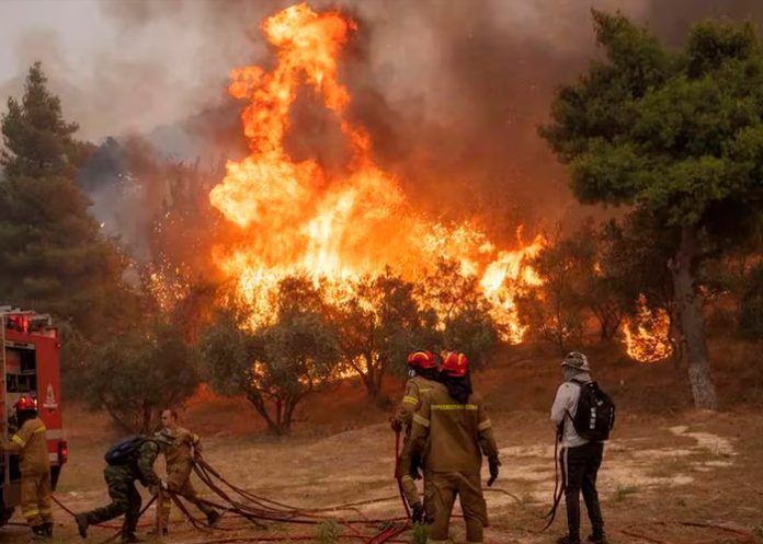 Foto: Tres bomberos heridos por incendio forestal en Grecia/Cortesía