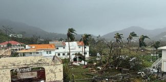 Foto: Huracán Beryl desata el caos /cortesía