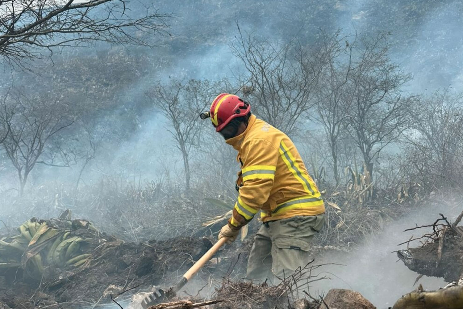 Foto: Miembros de las Fuerzas Armadas de Ecuador apoyan hoy al Cuerpo de Bomberos/Cortesía