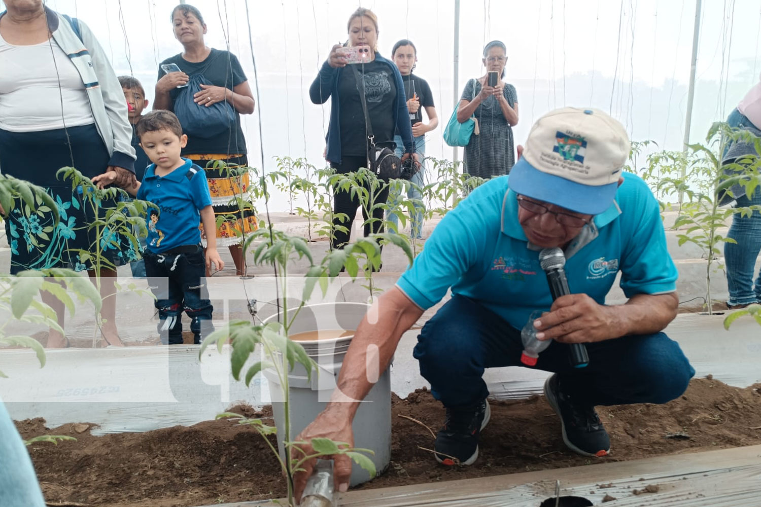 Foto: INTA capacita a familias productoras de hortalizas /TN8