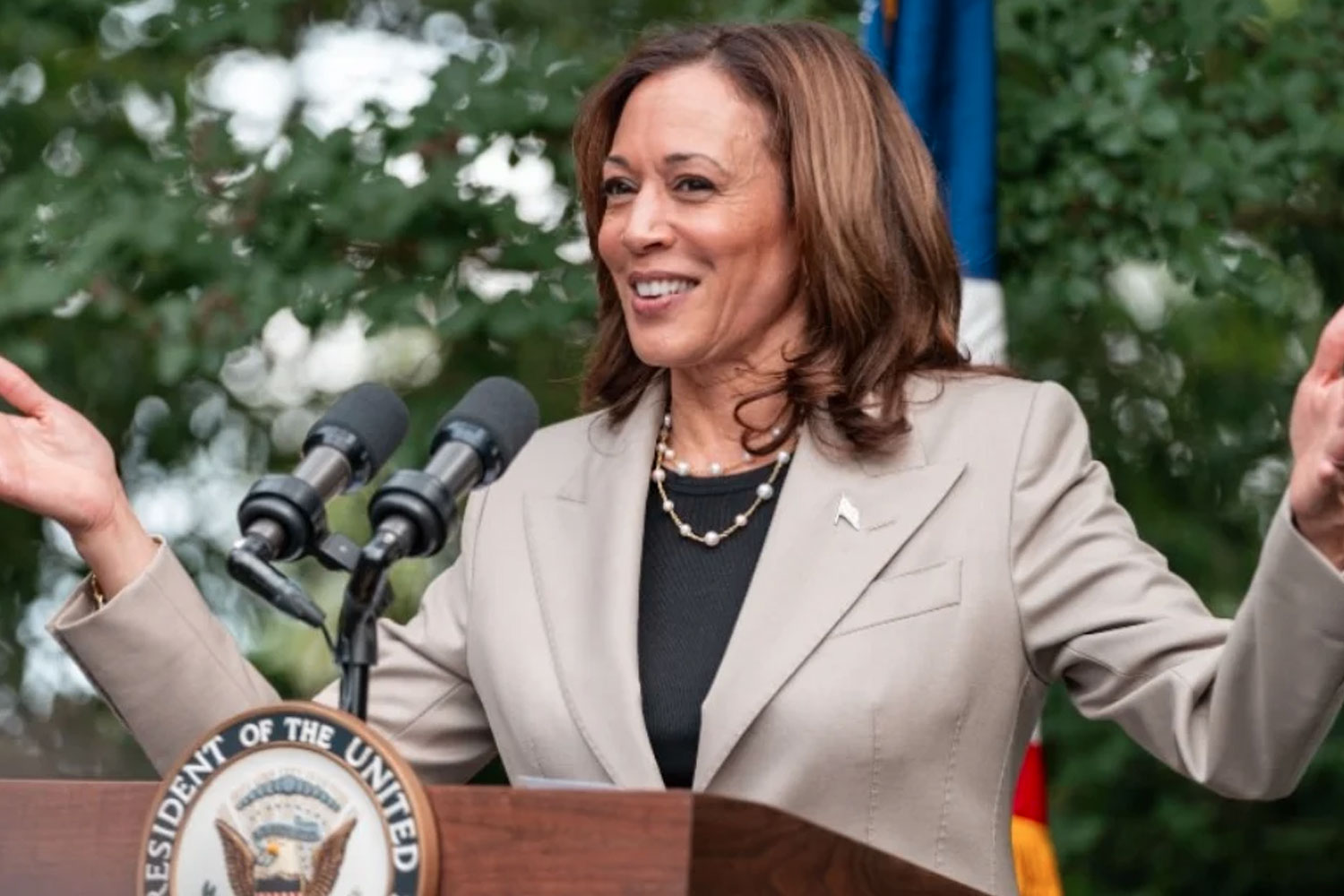 Foto: Vicepresidenta Kamala Harris: "Me postulo para presidenta de EE.UU." /Cortesía