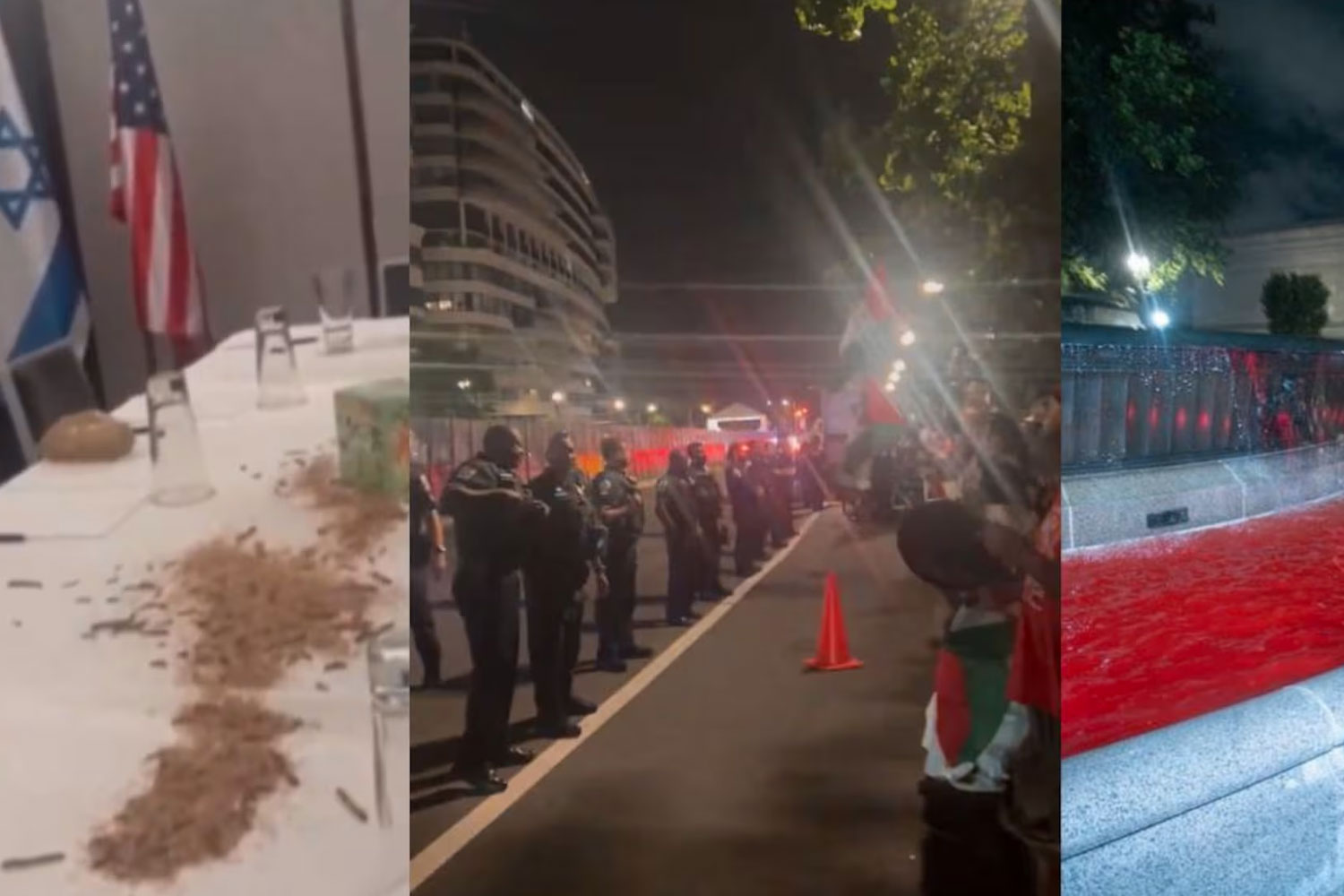 Foto: Gusanos sobre una mesa en un hotel de Washington /Cortesía