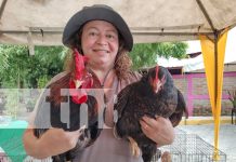 Foto: Festival 'Nicaragua Exótica' exhibe y vende animales y productos exóticos en Managua/TN8