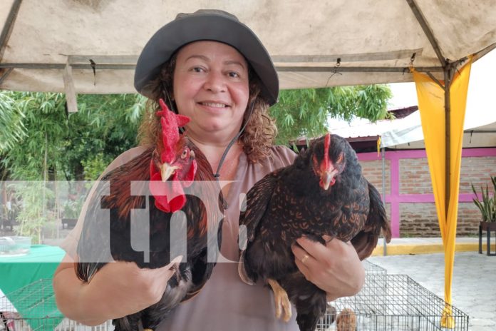 Foto: Festival 'Nicaragua Exótica' exhibe y vende animales y productos exóticos en Managua/TN8