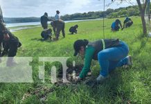 Foto: MARENA impulsa la reforestación y restauración de bosques en Nicaragua/TN8