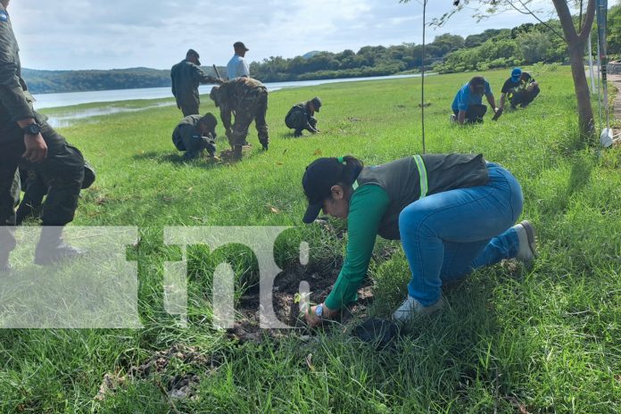 Foto: MARENA promueve la conservación del medio ambiente /TN8