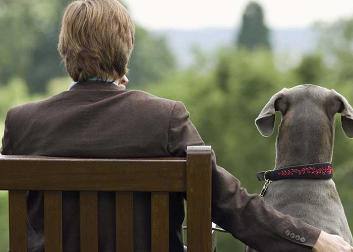 Foto: Descubren que el olor humano afecta la vida de los perros / Cortesía