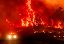 En EE. UU. California se encuentra en estado de emergencia debido a los incendios forestales/Cortesía