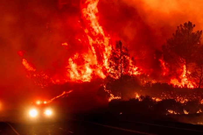 En EE. UU. California se encuentra en estado de emergencia debido a los incendios forestales/Cortesía