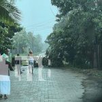 Foto: ¡Intensas lluvias y fuertes vientos causan estragos en Bilwi! Inundaciones y caída de árboles/TN8