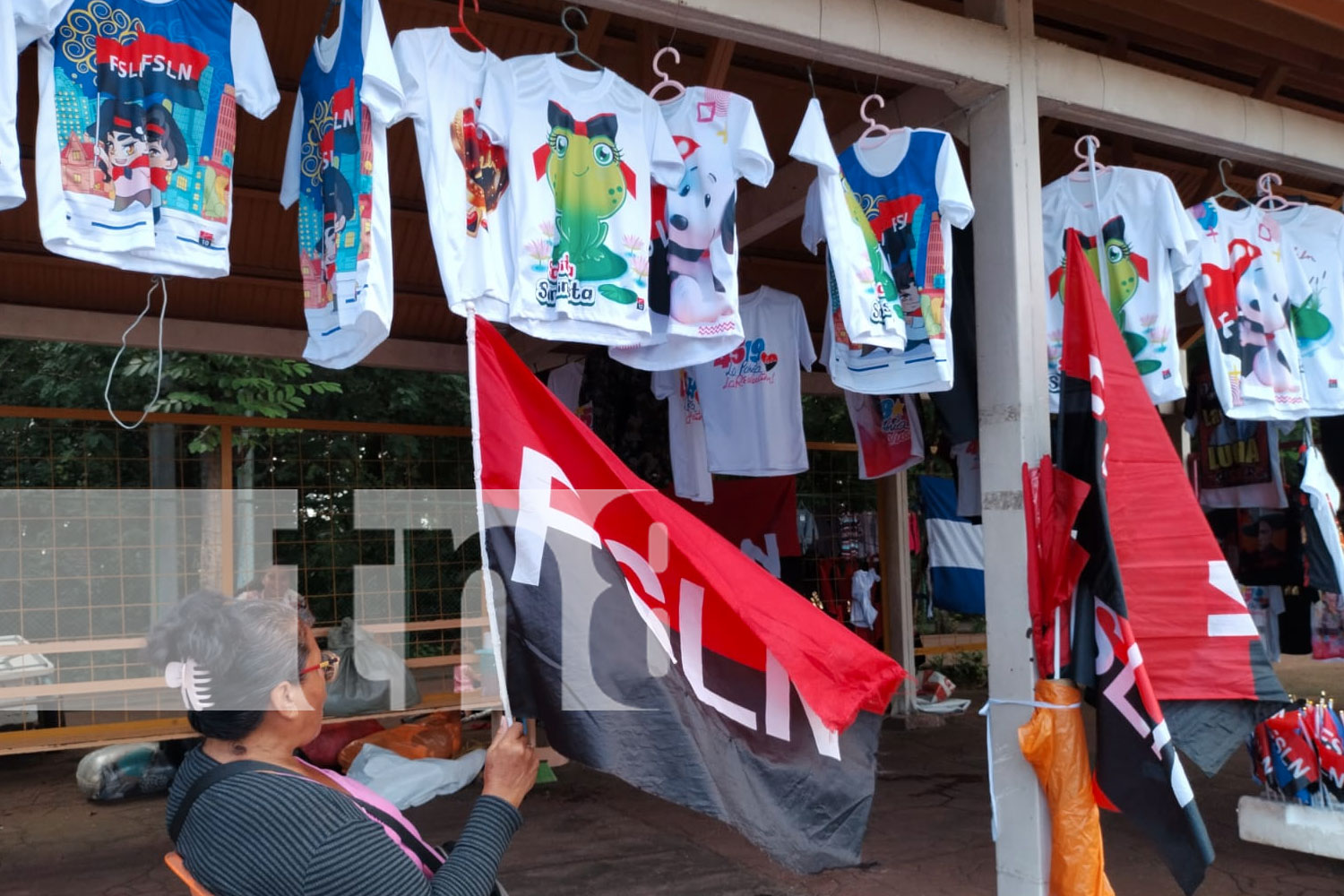 Foto: Nicaragua se está preparando para la celebración de los 45 años del triunfo de la Revolución Popular Sandinista/TN8