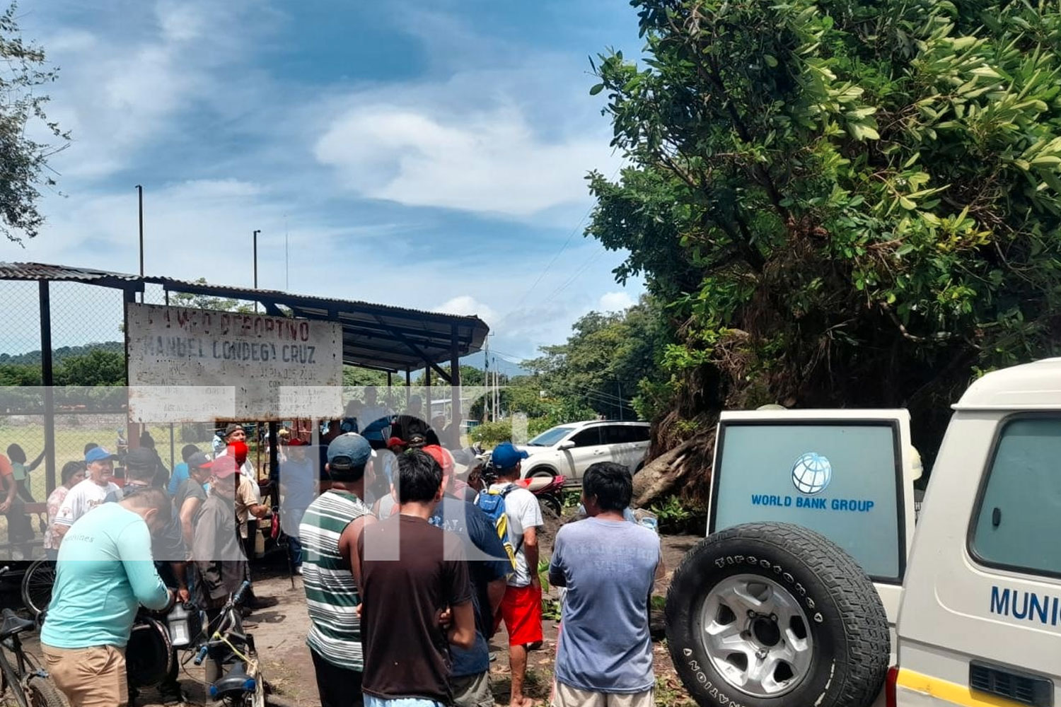 Foto: Árbol de chilamate cae sobre dos personas en la Isla de Ometepe/ TN8