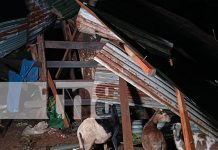 Foto: Tornado daña viviendas y árboles en Carretera Tipitapa-San Benito, Managua/TN8