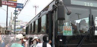 Foto: ¡Seguridad en el transporte colectivo! Continúan seminarios a conductores / TN8