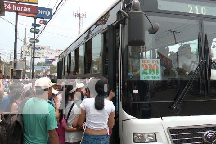 Foto: ¡Seguridad en el transporte colectivo! Continúan seminarios a conductores / TN8