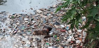 Foto: Hallazgo de un cadáver dentro del cauce en el barrio 31 de Diciembre/ TN8