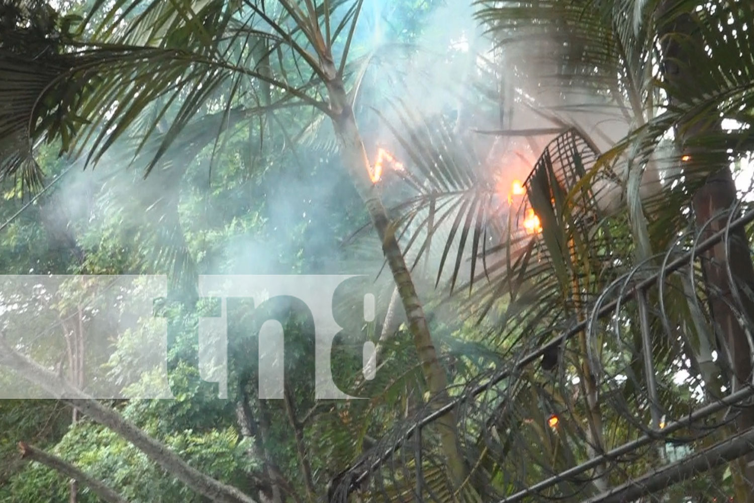 Fuerte lluvia y vientos derriban árboles y cables en Estelí