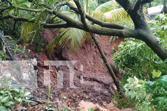 Foto: Lluvias provocan evacuaciones en Bluefields por deslizamiento de tierra/TN8