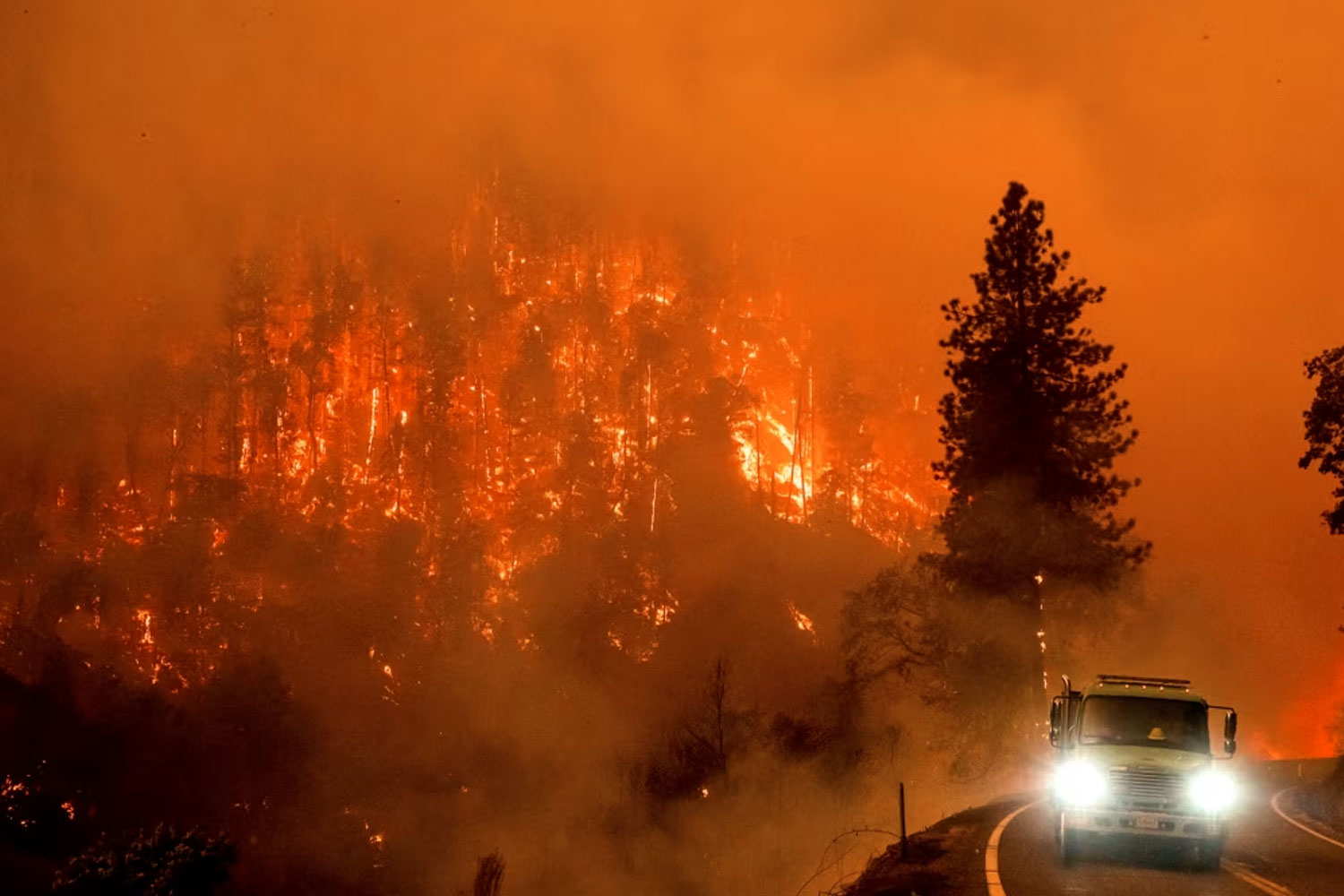 Foto: Miles de personas son evacuadas en California /Cortesía