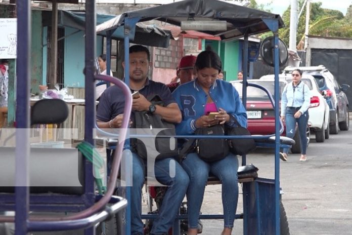 Foto: 95 verificaciones de documentos de conductores de caponeras /TN8