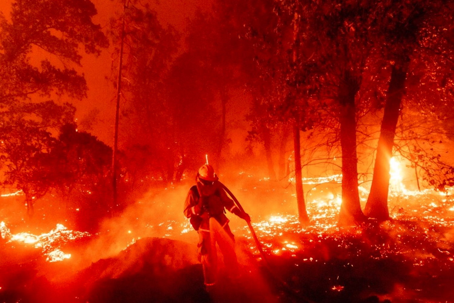 En EE. UU. California se encuentra en estado de emergencia debido a los incendios forestales/Cortesía