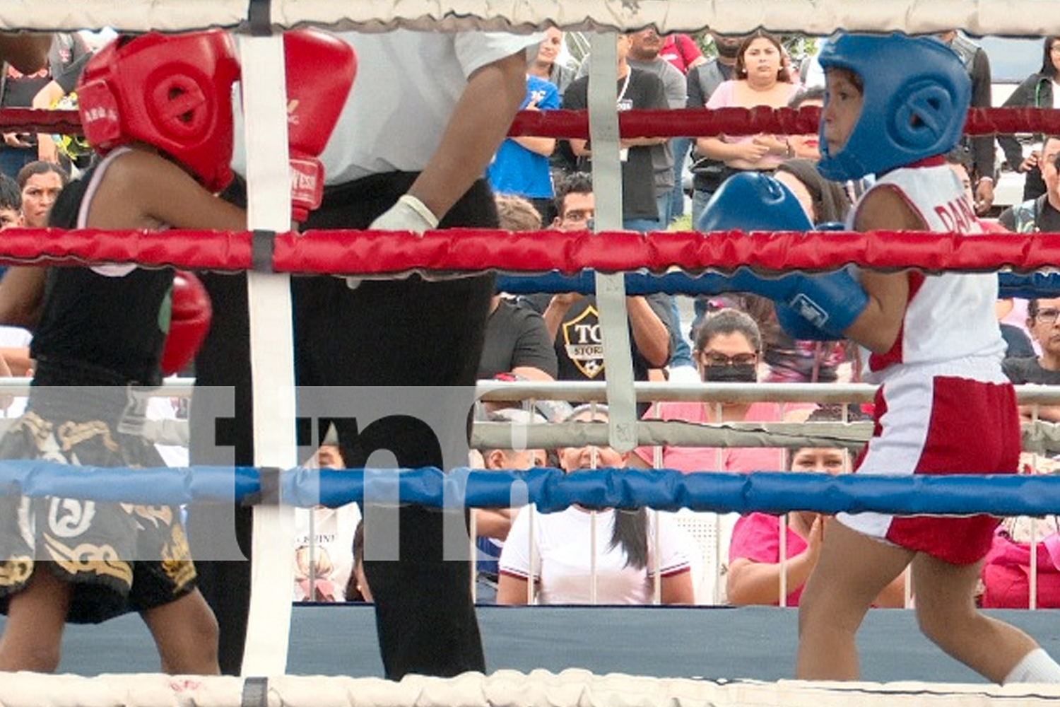 Foto: FENIBOXA celebra con éxito la final del torneo "Pequeños Campeones" en Puerto Salvador Allende/TN8