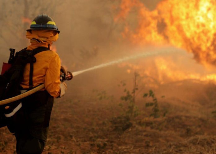 Foto: Bolivia en alerta /cortesía