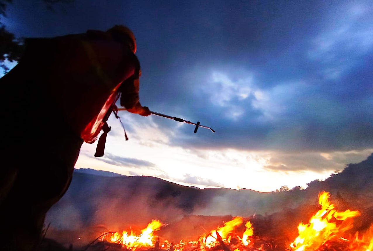 Foto: Presidente de Bolivia anuncia plan urgente para combatir incendios forestales /Créditos