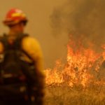 Foto: Miles de bomberos combaten el mayor incendio del año en California/Créditos