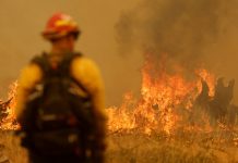 Foto: Miles de bomberos combaten el mayor incendio del año en California/Créditos