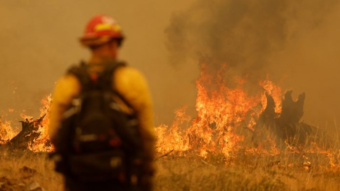 Foto: Miles de bomberos combaten el mayor incendio del año en California/Créditos