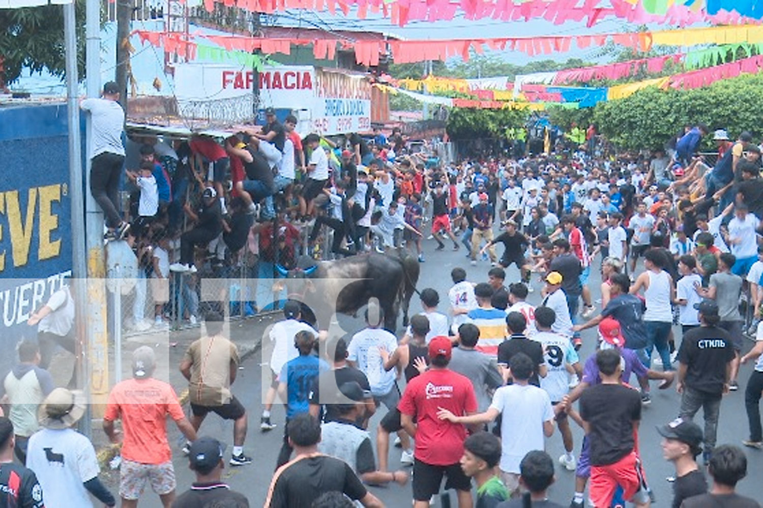 Foto: Managua Celebró a lo Grande: Fiestas de Víspera a Santo Domingo en San José Oriental/ TN8