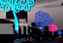 Foto: Encendido simultáneo de 50 "Árboles de la Vida" en Managua/ TN8