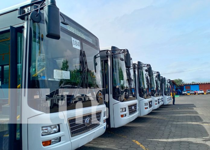 Foto: Progreso en el transporte público de Nicaragua/TN8