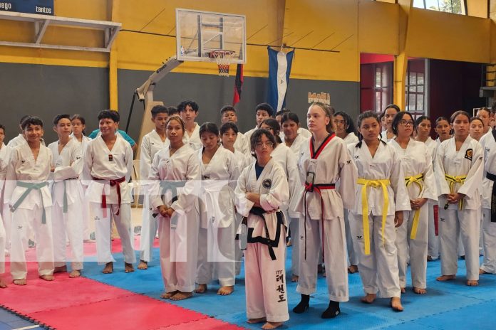 Foto: En Managua, se realizó campeonato de Taekwondo de los Juegos Juveniles 2024/TN8