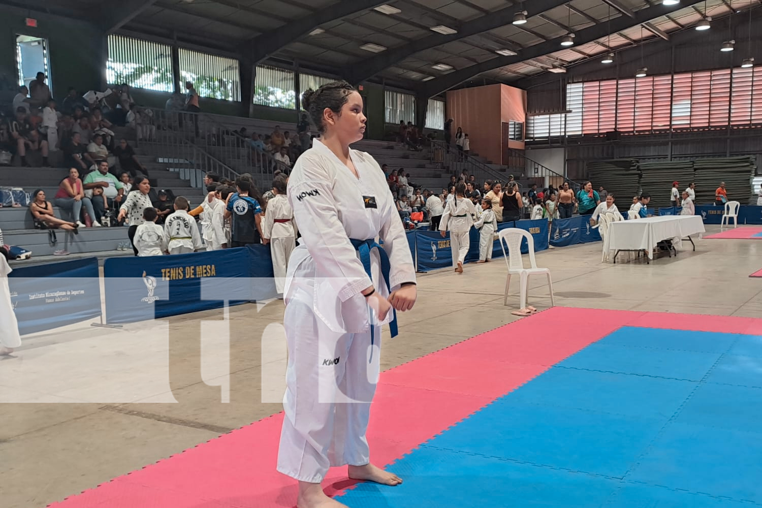 Foto: En Managua se realizó, Festival Infantil y Precadetes de Taekwondo/TN8