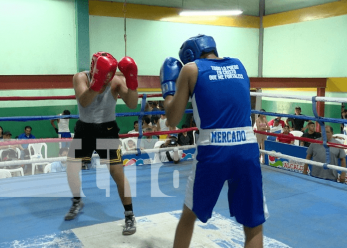 Foto: Torneo de boxeo en Managua en honor a Alexis Argüello / TN8
