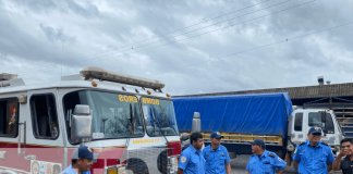 Foto: Inspección de bomberos en el Mercado Mayoreo / TN8