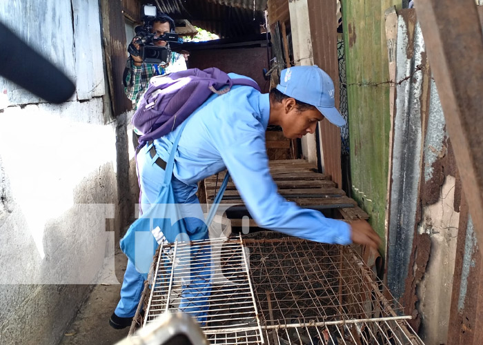 Foto: Visita de brigadistas del MINSA en el barrio Grenada, Managua / TN8