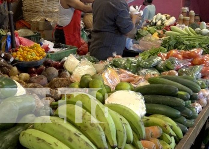 Foto: Precios de la canasta básica en Nicaragua / TN8