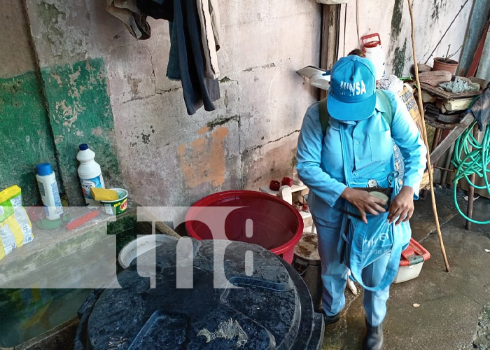 Foto: Jornadas de abatización con brigadas del MINSA en barrios de Managua / TN8