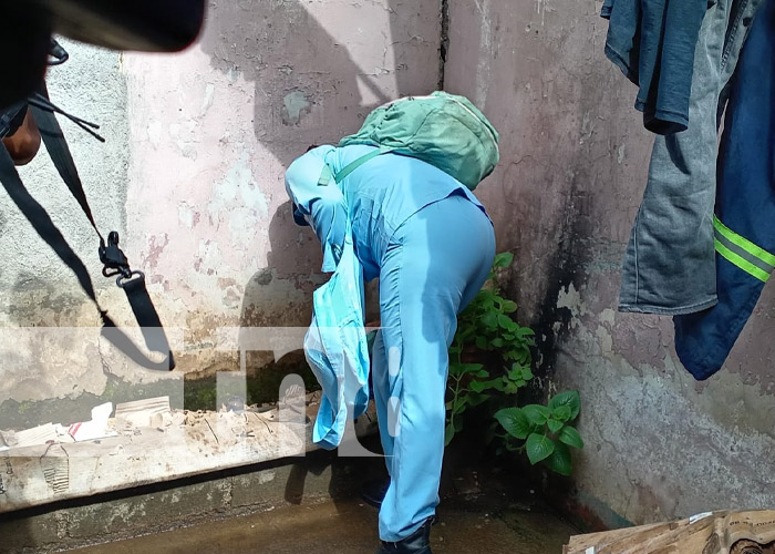 Foto: Jornadas de abatización con brigadas del MINSA en barrios de Managua / TN8